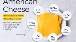 Fat Free Cheddar Cheese Nutrition A Complete Guide