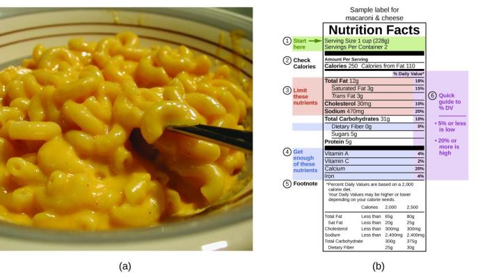 Nutrition facts of mac and cheese