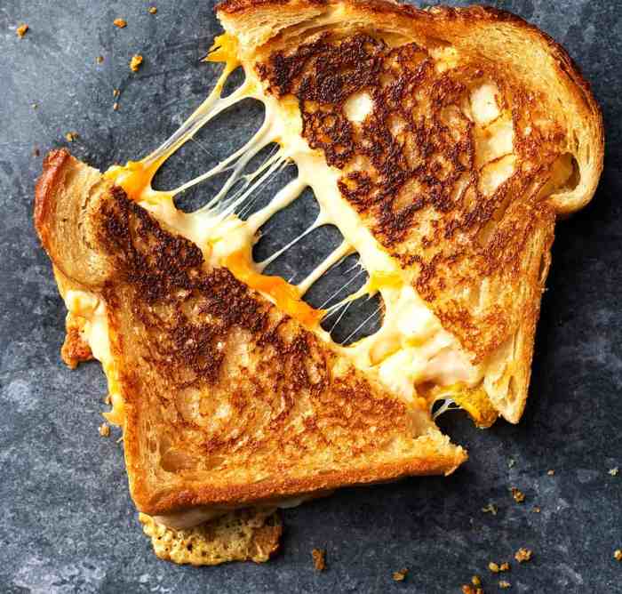 Nutrition grilled cheese sandwich