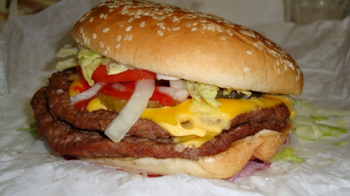 Whopper burger king cheese jr calories sibo protein fat causes high double tweet curmudgeon son