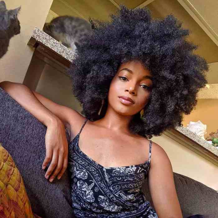 African hair natural hairstyles