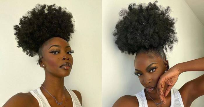 African hair natural hairstyles