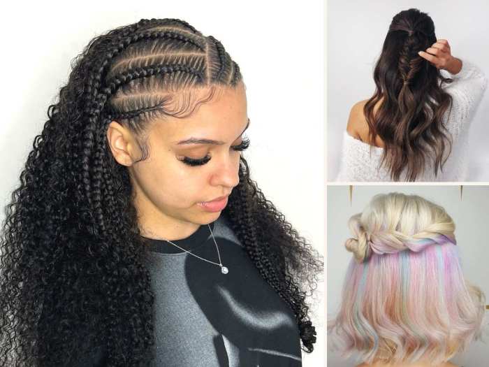 Half up half down braided hairstyles for black hair